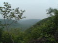 An image from hilltop of Kambalakonda Wildlife Sanctuary