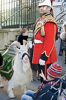 White goat wearing metal headdress and green coat, stands beside soldier in red ceremonial uniform, and a white helmet; a child in a push-chair is pointing at the goat