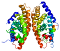 Miniatura para Receptor hepático X alfa