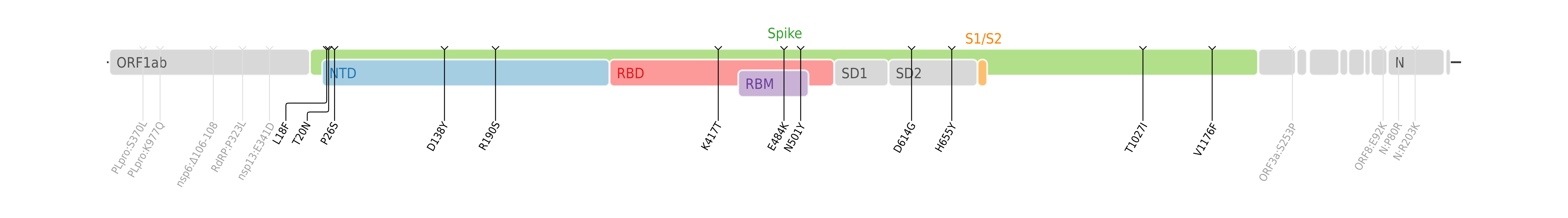 Amino acid mutations of SARS-CoV-2 Gamma variant plotted on a genome map of SARS-CoV-2 with a focus on Spike.