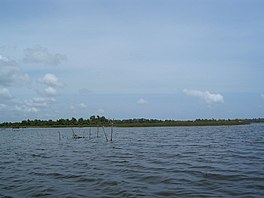 Bolgoda Lake