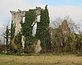 Castle ruins, south wall