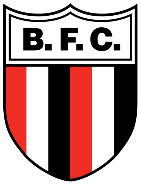 Archivo:Botafogo Ribeirao Preto SP.png