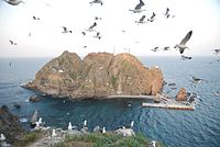 A round rocky island, with an empty port. Seagulls block some of the frame.