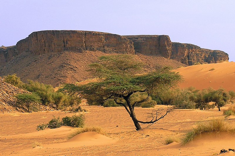 File:Mauritanie - Adrar2.jpg