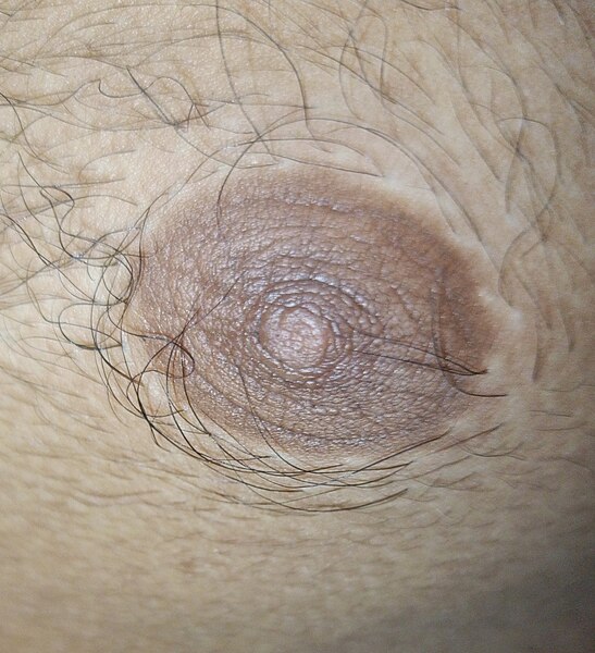 File:Nipple of male human.jpg