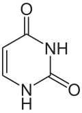 Structural formula of uracil