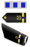 U.S. Navy Chief Warrant Officer 4 Rank Insignia