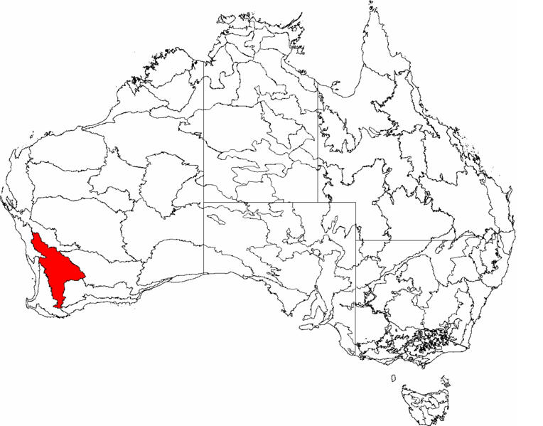 File:IBRA 6.1 Avon Wheatbelt.png