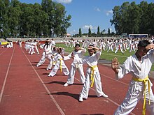 873 JJS Karatekas highlighted the Ruby Jubilee Celebration at Pana-ad Sports Stadium in Bacolod City, Philippines