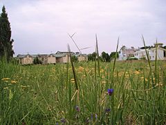 Mehršahr in spring