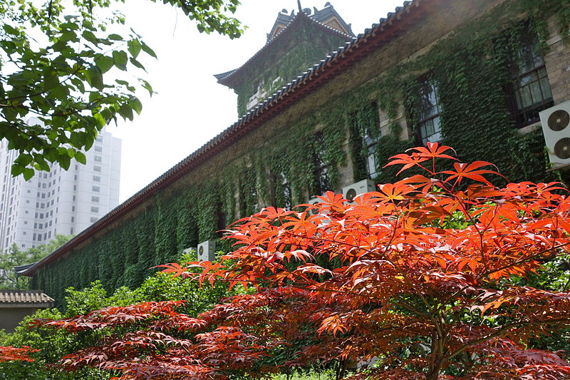 File:Nanjing uni vegetation.jpg