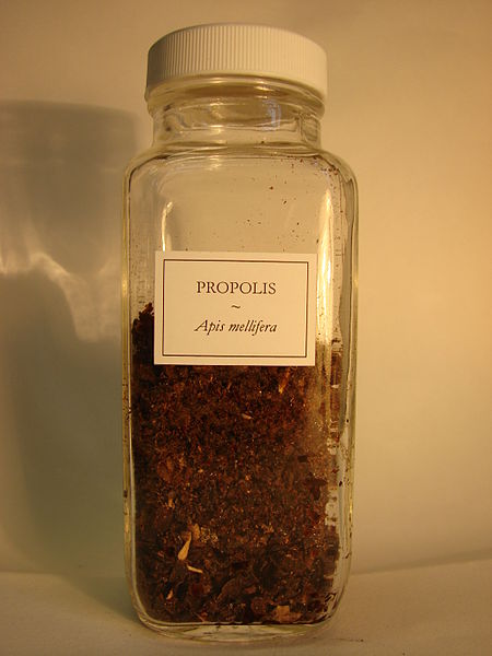 File:Propolis2.JPG