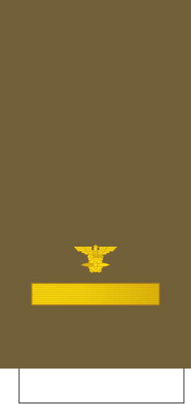 File:Tiwan-AirForce-OF-1b (1928).svg