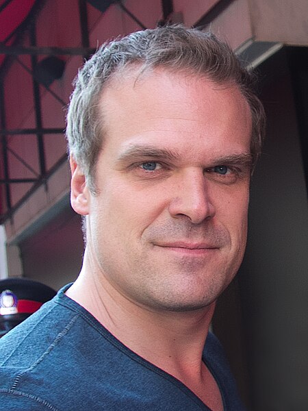 File:David Harbour (17015322391).jpg