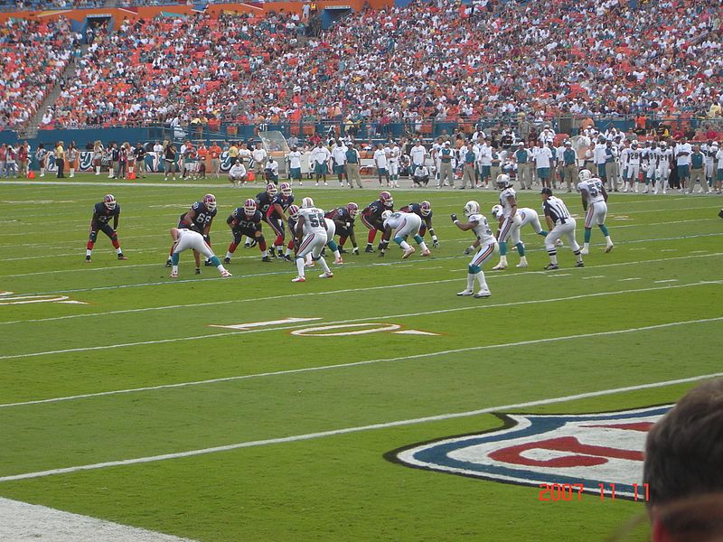 File:Dolphins 11-11-2007 015.jpg