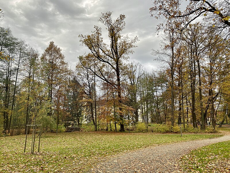 File:Gmünd Schlosspark.jpg