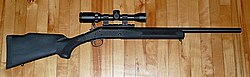 H&R Handi-Rifle .44 Magnum with scope