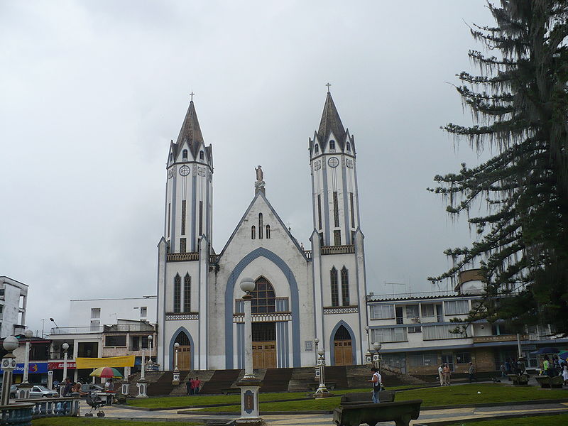 File:Las araucarias.JPG