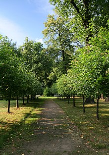 Moscow Ostankino Park2.JPG