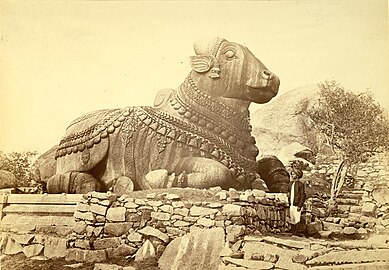 An 1872 image of the 2nd-century CE granite sculpture of Nandi bull.