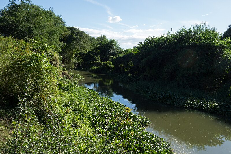 Archivo:Río Jaibo DSC01626.jpg