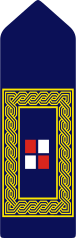 File:Zamjenik ravnatelja policije.svg