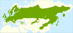 Mapa de distribución del abedul común.