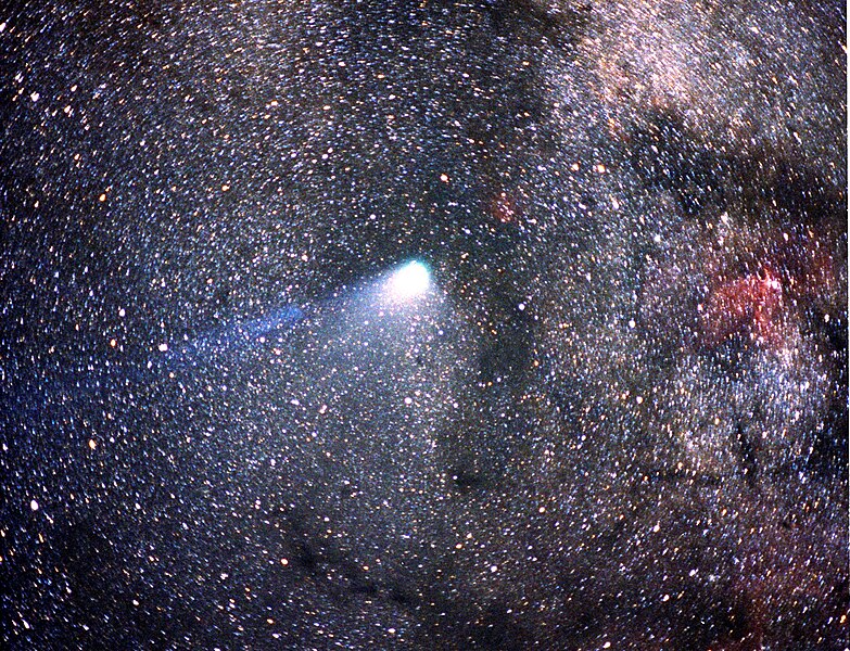 Файл:Comet Halley.jpg