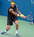 Juan Martín del Potro defeated Roger Federer in five sets.