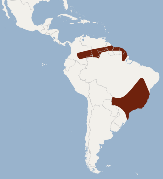 File:Distribution of Mimon bennettii.png