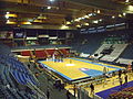 Pionir