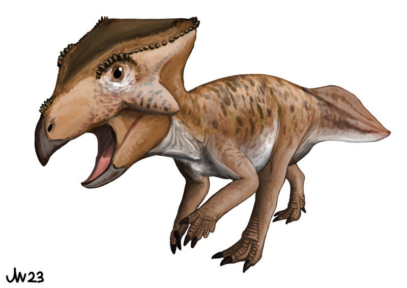 File:Koreaceratops.png