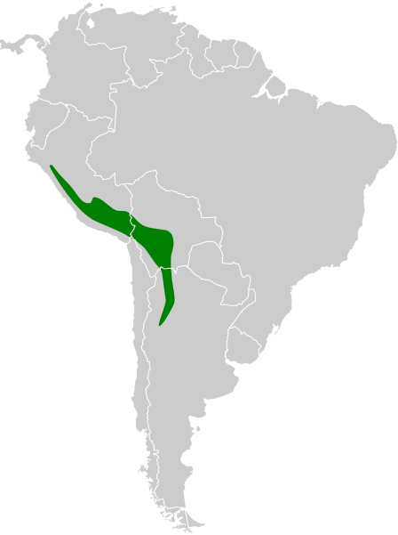 File:Ochthoeca oenanthoides map.svg