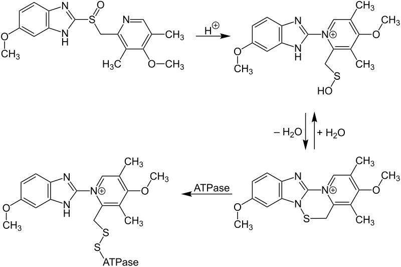 File:Omeprazole Mechanism V1.svg