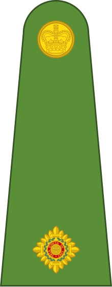 PNGDF Land OF-01a.svg