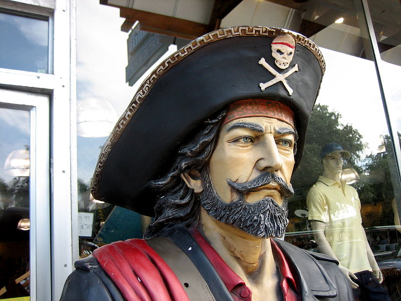 File:Pirate (3752143560).jpg