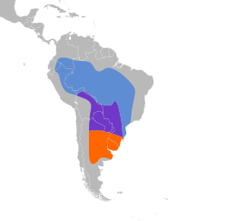 Distribución geográfica del mosquero cardenal.