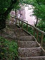 Steps down from the pathway in the Anderson's Plantation to the Annick path.