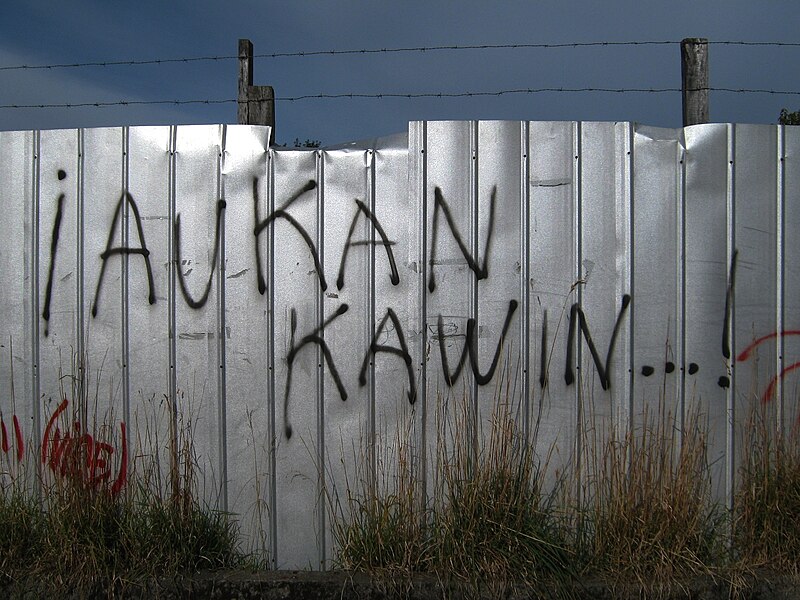 File:Aukan kawin griffitie mapuche.jpg