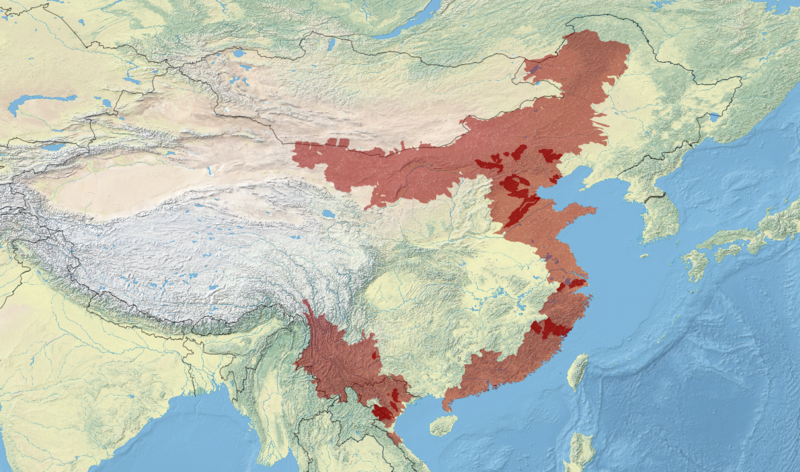 File:Bellamya aeruginosa map.png