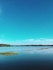 Prawn Fishing on Bolgoda Lake