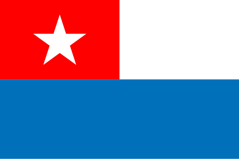 Archivo:Céspedes flag.svg