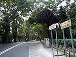 青山公路(古洞段)