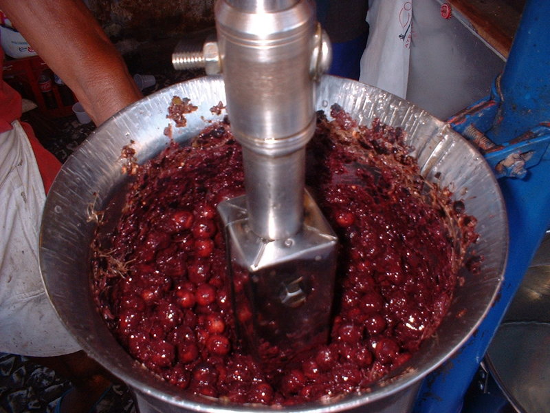 File:Despolpadeira de açai.jpg