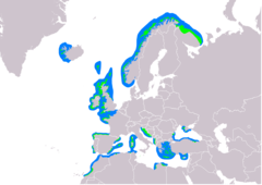 Distribución de Gulosus aristotelis