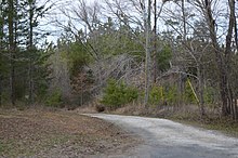 Gum Creek, Columbia.jpg