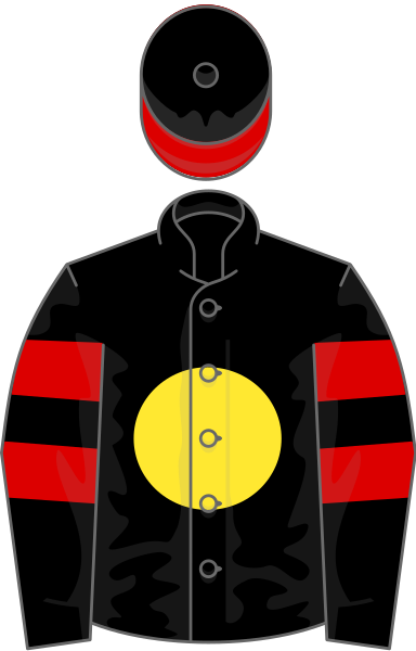 File:Owner Stronach Stables.svg