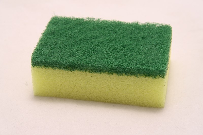 File:Small yellow green sponge.jpg