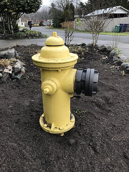 Файл:Yellow Fire Hydrant (2019-12-07).jpg